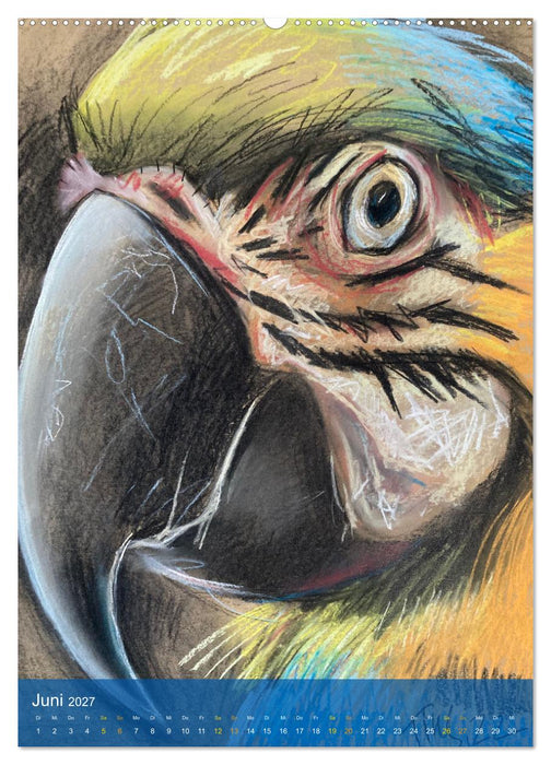 Augenblicke - Tierporträts (CALVENDO Premium Wandkalender 2027)