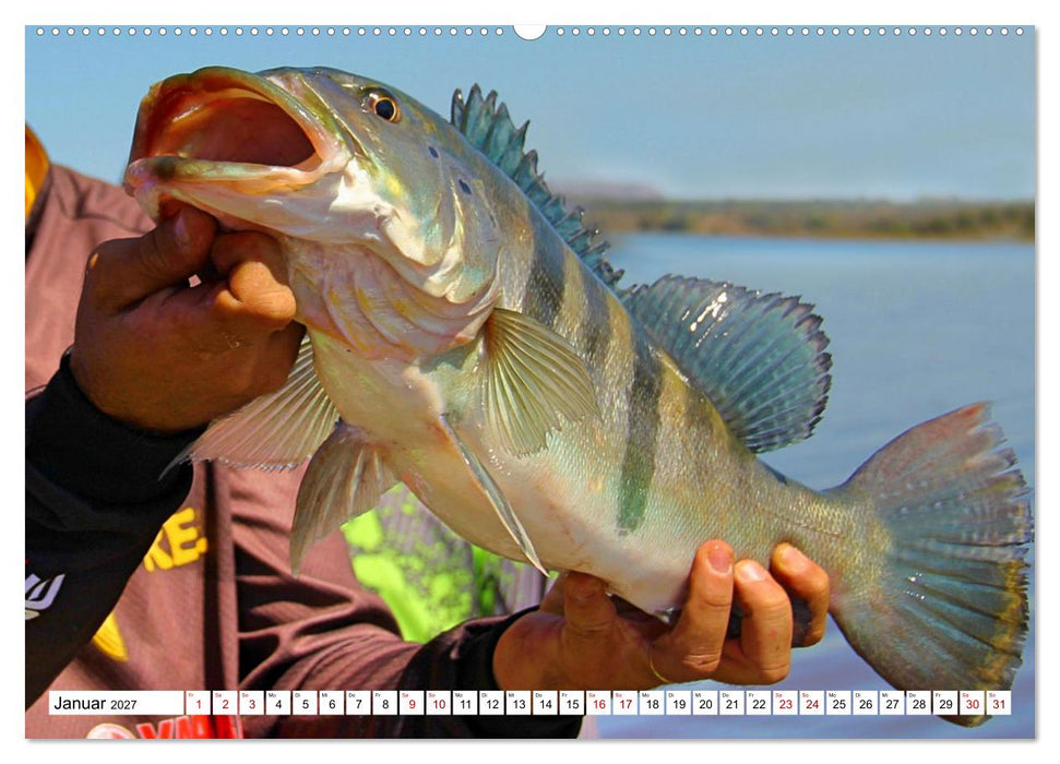 Anglerglück - den Fisch am Haken (CALVENDO Premium Wandkalender 2027)