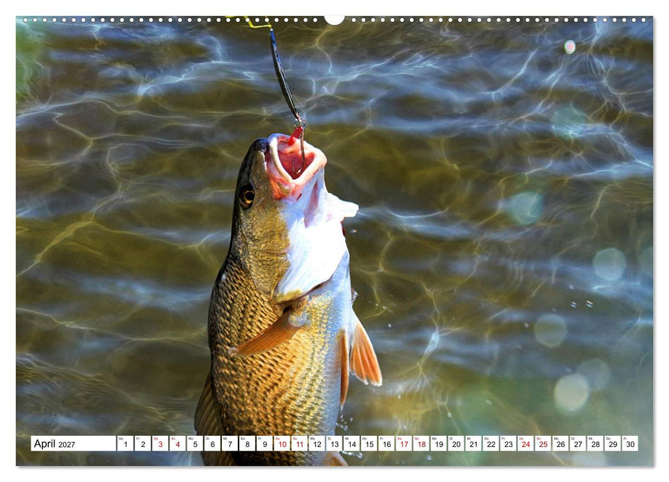 Anglerglück - den Fisch am Haken (CALVENDO Premium Wandkalender 2027)