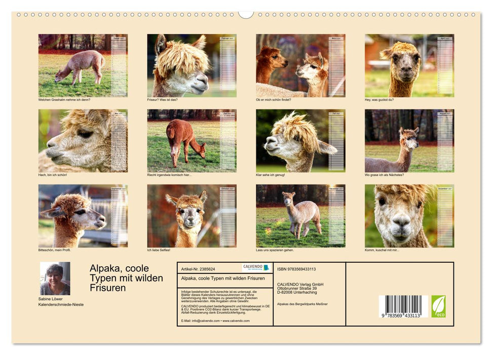 Alpaka, coole Typen mit wilden Frisuren (CALVENDO Wandkalender 2027)