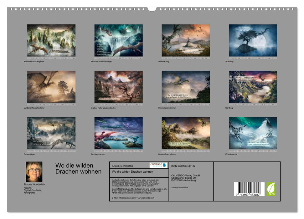 Wo die wilden Drachen wohnen (CALVENDO Wandkalender 2027)