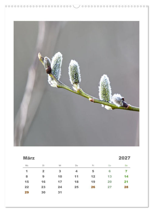Minimalistisch, Gräser, Blüten, Blätter und Zweige im Fokus (CALVENDO Wandkalender 2027)