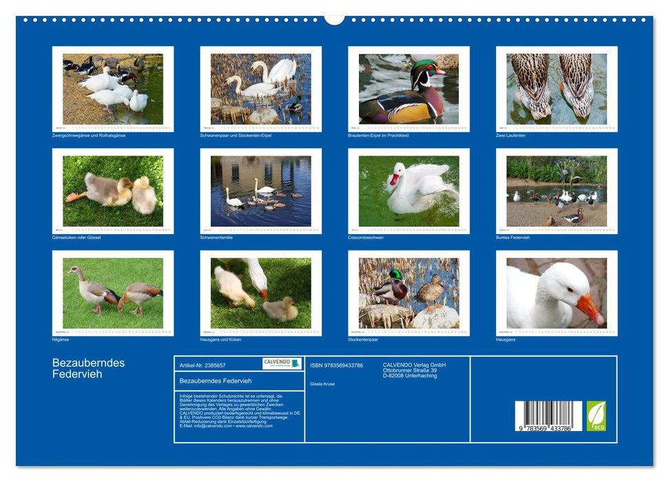 Bezauberndes Federvieh (CALVENDO Premium Wandkalender 2027)