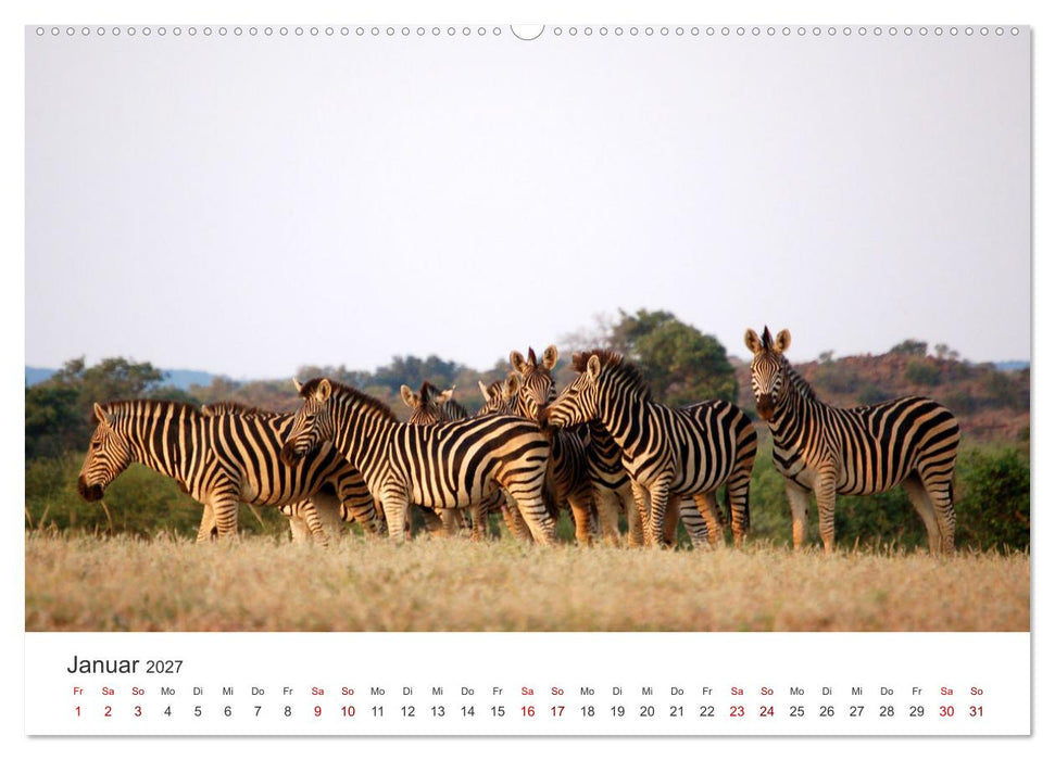 Botswana - Eine spannende Reise in ein wunderschönes Land. (CALVENDO Wandkalender 2027)