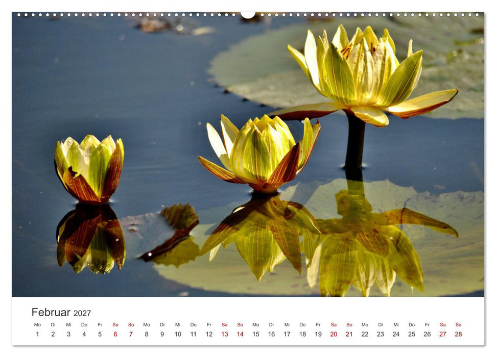 Botswana - Eine spannende Reise in ein wunderschönes Land. (CALVENDO Wandkalender 2027)