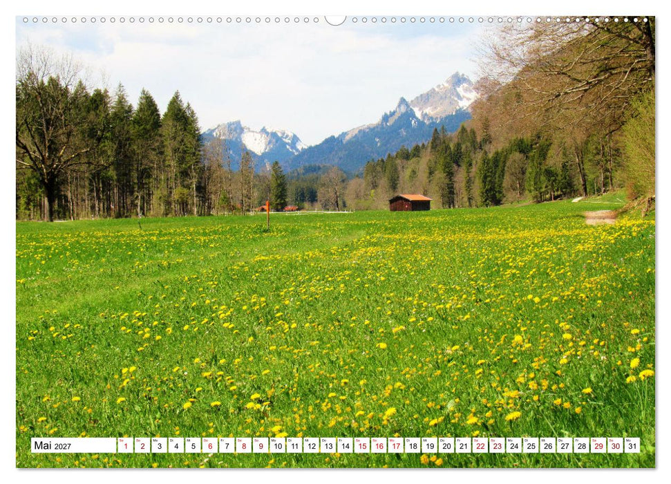 Das Graswangtal (CALVENDO Wandkalender 2027)