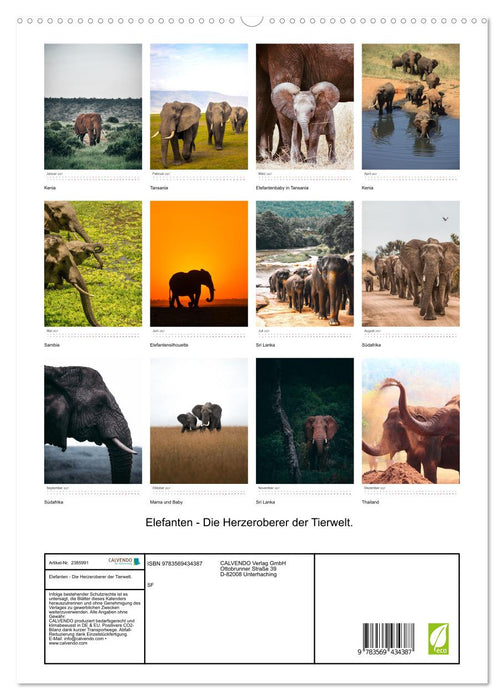 Elefanten - Die Herzeroberer der Tierwelt. (CALVENDO Premium Wandkalender 2027)