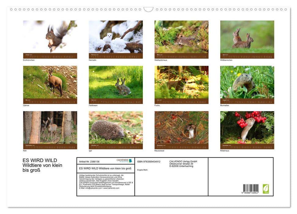 ES WIRD WILD Wildtiere von klein bis groß (CALVENDO Wandkalender 2027)