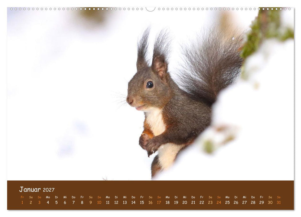 ES WIRD WILD Wildtiere von klein bis groß (CALVENDO Wandkalender 2027)