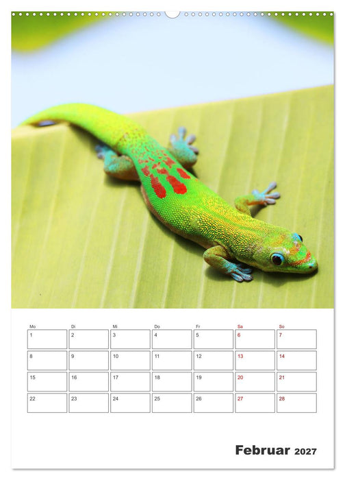 Hawaii - Reiseplaner (CALVENDO Premium Wandkalender 2027)