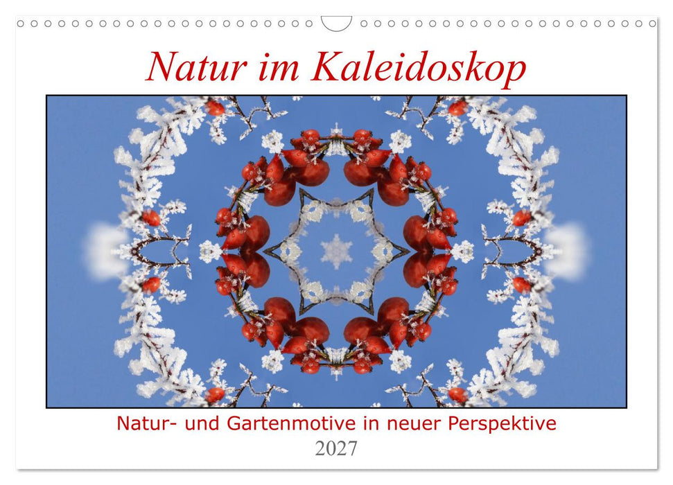 Natur im Kaleidoskop (CALVENDO Wandkalender 2027)