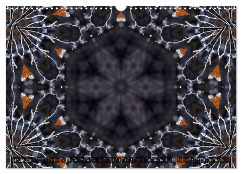 Natur im Kaleidoskop (CALVENDO Wandkalender 2027)