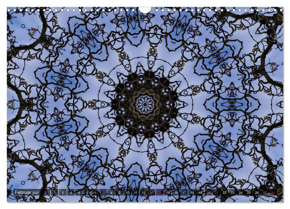 Natur im Kaleidoskop (CALVENDO Wandkalender 2027)