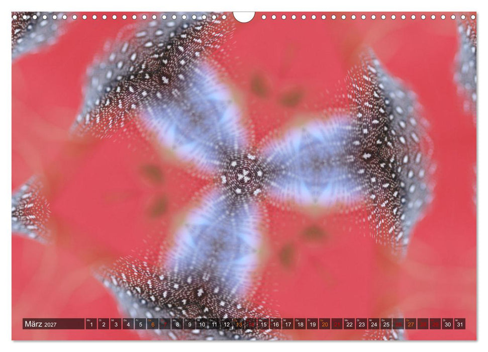 Natur im Kaleidoskop (CALVENDO Wandkalender 2027)