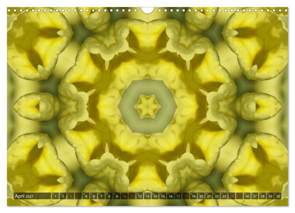 Natur im Kaleidoskop (CALVENDO Wandkalender 2027)