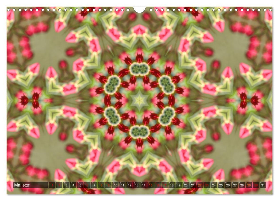 Natur im Kaleidoskop (CALVENDO Wandkalender 2027)
