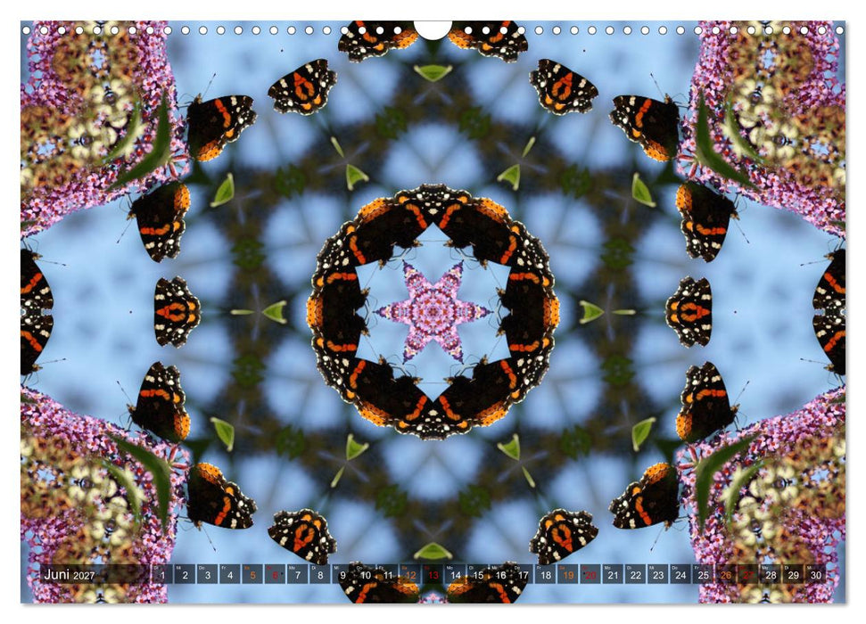 Natur im Kaleidoskop (CALVENDO Wandkalender 2027)