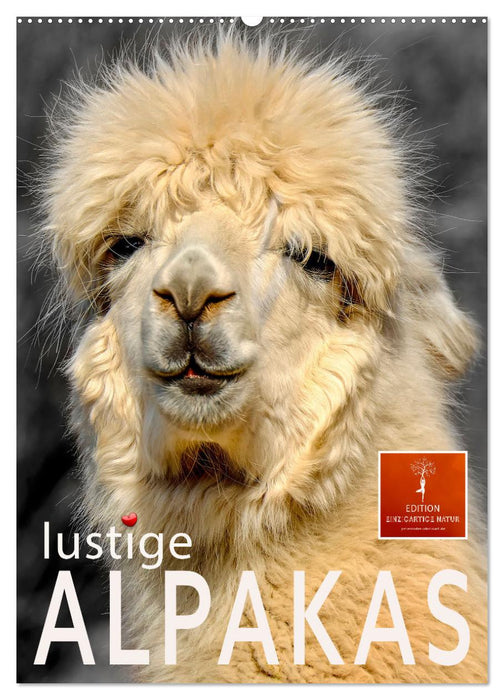 Lustige Alpakas (CALVENDO Wandkalender 2027)