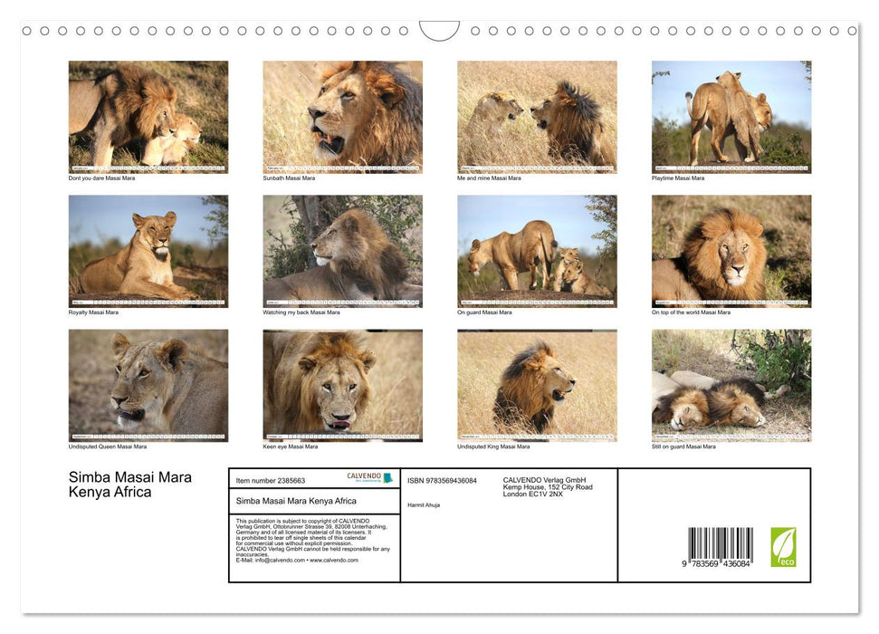 Simba Masai Mara Kenya Africa (CALVENDO Monthly Calendar 2027)