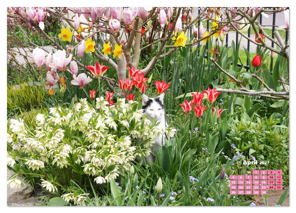 Urlaub im Garten (CALVENDO Wandkalender 2027)