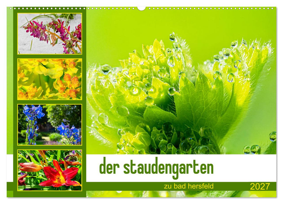 der staudengarten zu bad hersfeld (CALVENDO Wandkalender 2027)