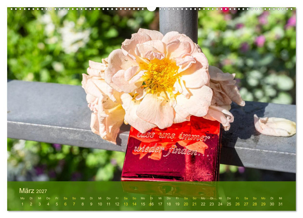 der staudengarten zu bad hersfeld (CALVENDO Wandkalender 2027)