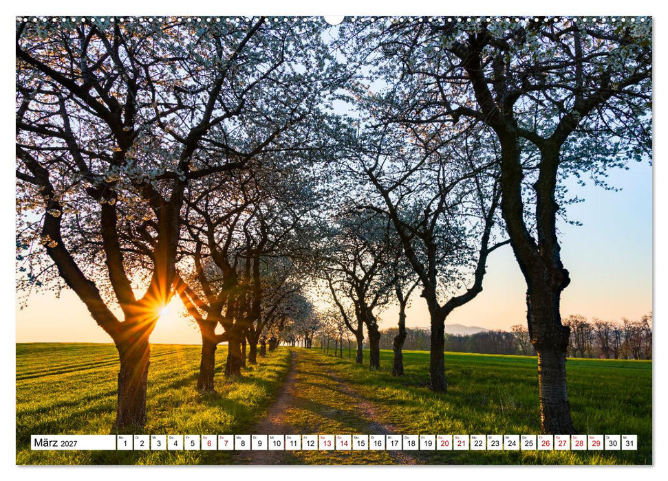 Sonnige Augenblicke (CALVENDO Premium Wandkalender 2027)