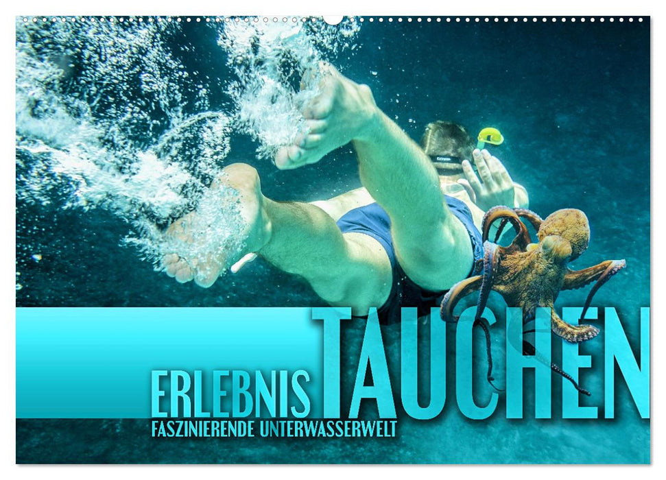 Erlebnis Tauchen - faszinierende Unterwasserwelt (CALVENDO Wandkalender 2027)