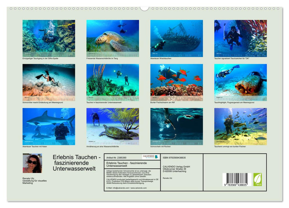 Erlebnis Tauchen - faszinierende Unterwasserwelt (CALVENDO Wandkalender 2027)