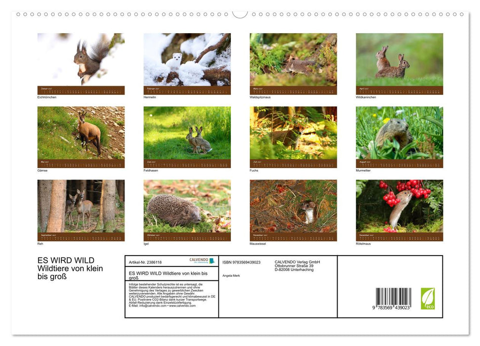 ES WIRD WILD Wildtiere von klein bis groß (CALVENDO Premium Wandkalender 2027)