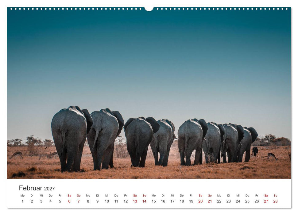 Namibia - Das wunderschöne Land am Atlantik. (CALVENDO Premium Wandkalender 2027)