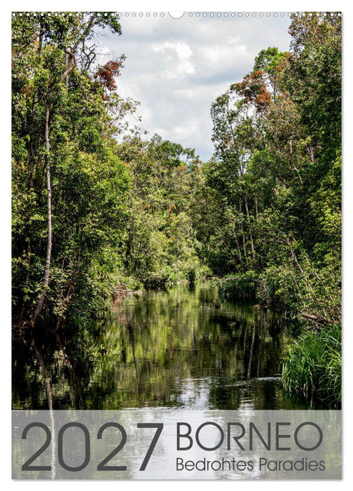 BORNEO Bedrohtes Paradies (CALVENDO Wandkalender 2027)