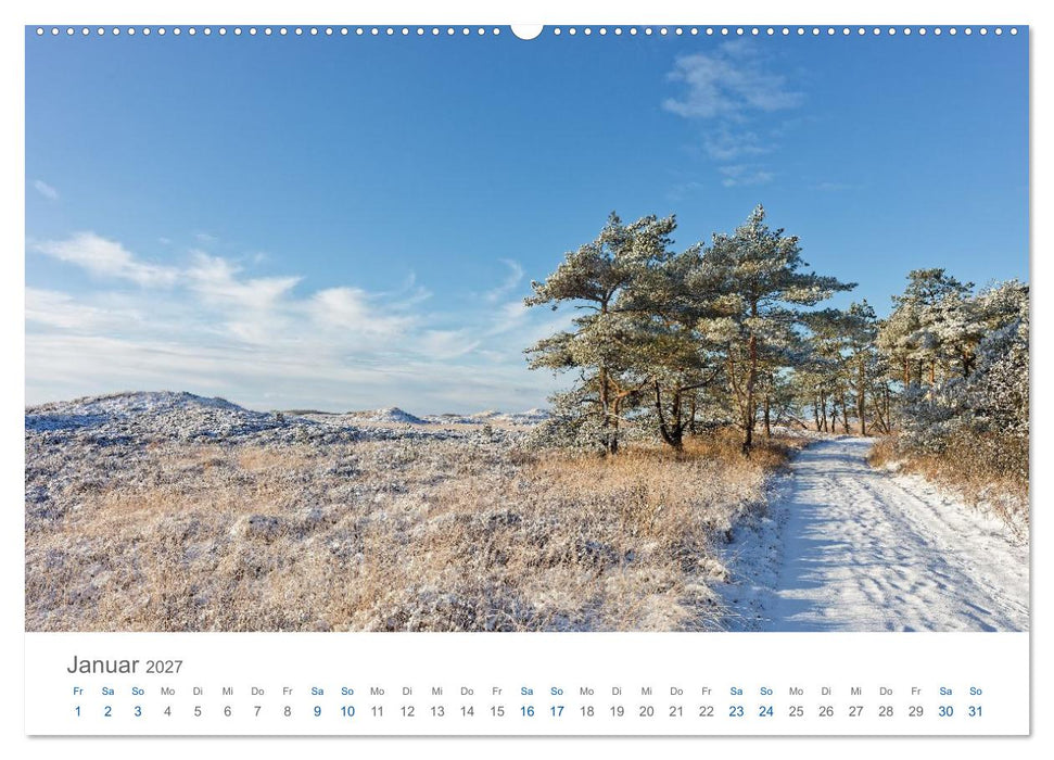 Jütlands Norden - Willkommen im Land des Lichts (CALVENDO Premium Wandkalender 2027)