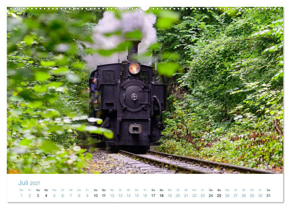 Steyrtalbahn (CALVENDO Premium Wandkalender 2027)