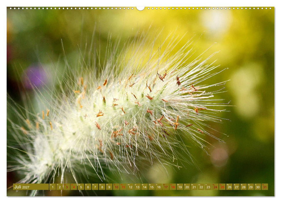 Natur, die bezaubert (CALVENDO Premium Wandkalender 2027)