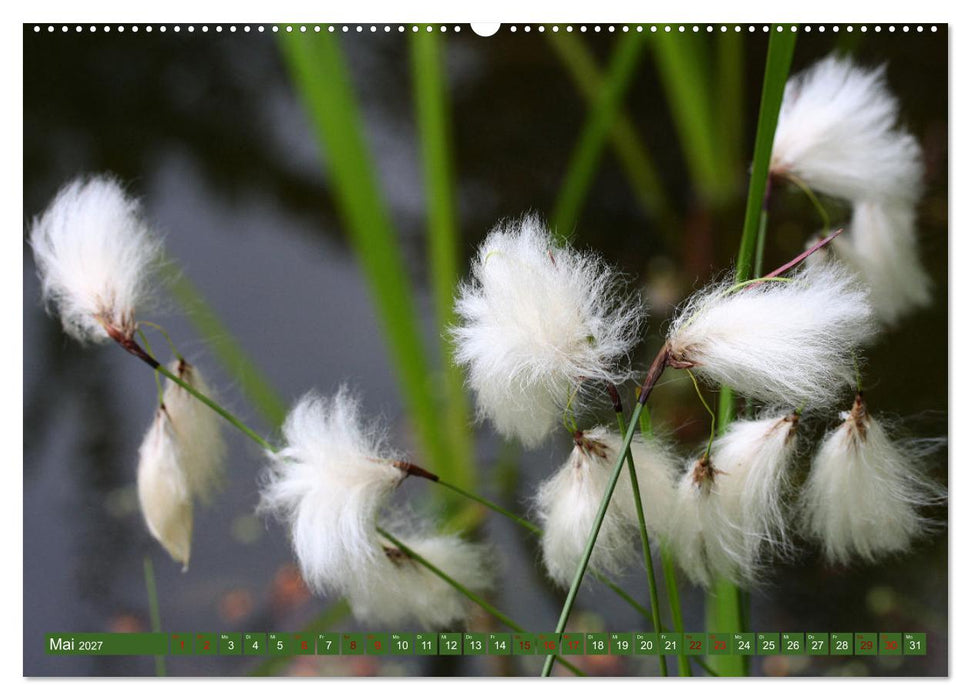 Natur, die bezaubert (CALVENDO Wandkalender 2027)
