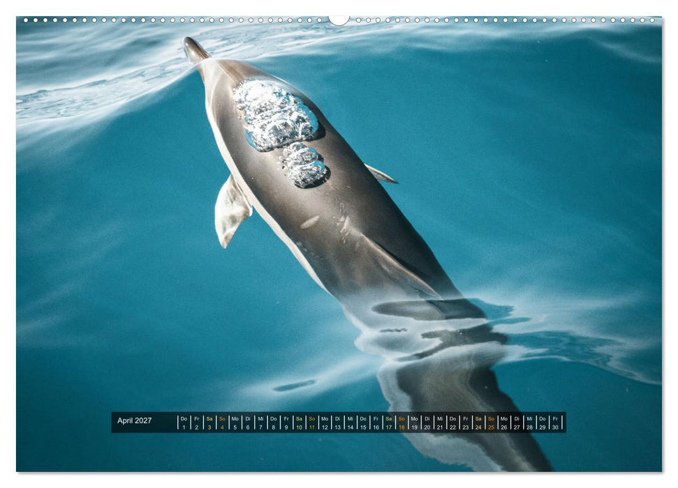 Madeira - Paradies im Atlantik (CALVENDO Wandkalender 2027)