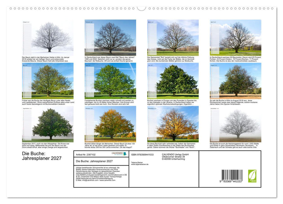 Die Buche: Jahresplaner 2027 (CALVENDO Premium Wandkalender 2027)
