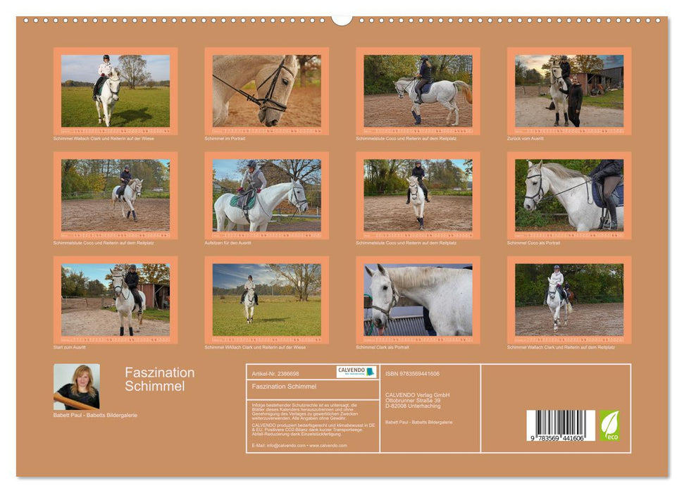 Faszination Schimmel (CALVENDO Premium Wandkalender 2027)