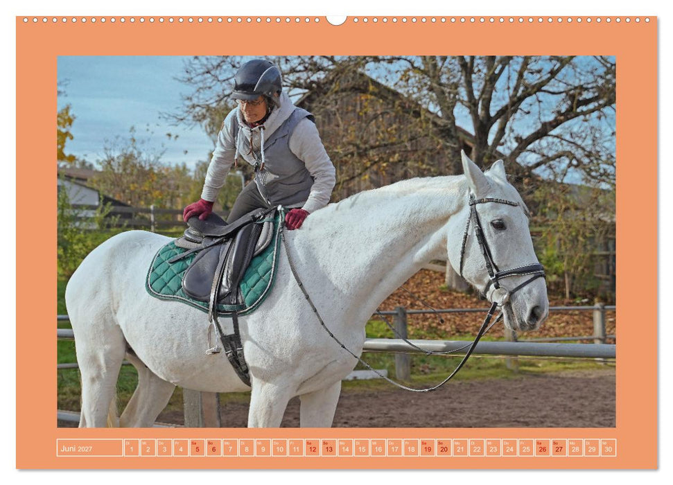 Faszination Schimmel (CALVENDO Premium Wandkalender 2027)