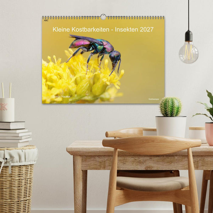 Kleine Kostbarkeiten Insekten (CALVENDO Wandkalender 2027)