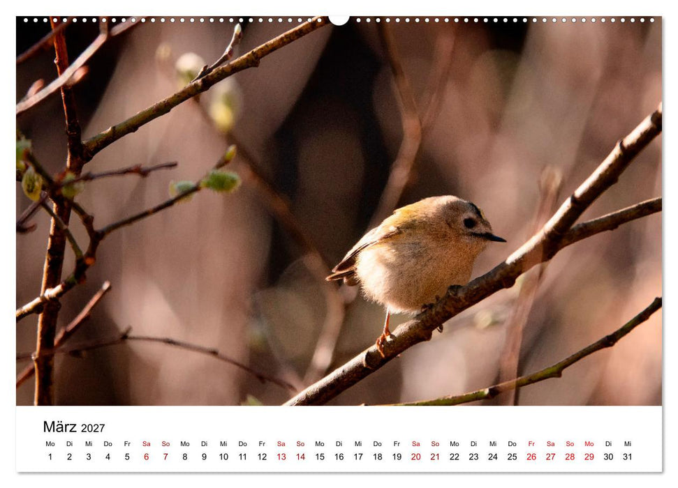 Bergell - Bregaglia Impressionen (CALVENDO Premium Wandkalender 2027)