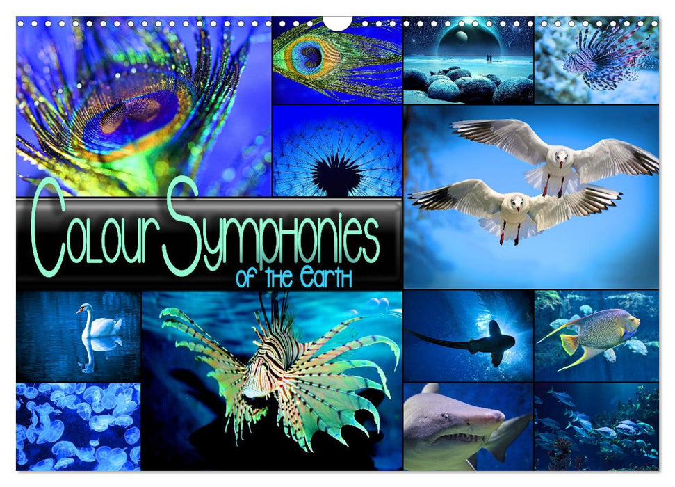 Colour Symphonies of the Earth (CALVENDO Monthly Calendar 2027)