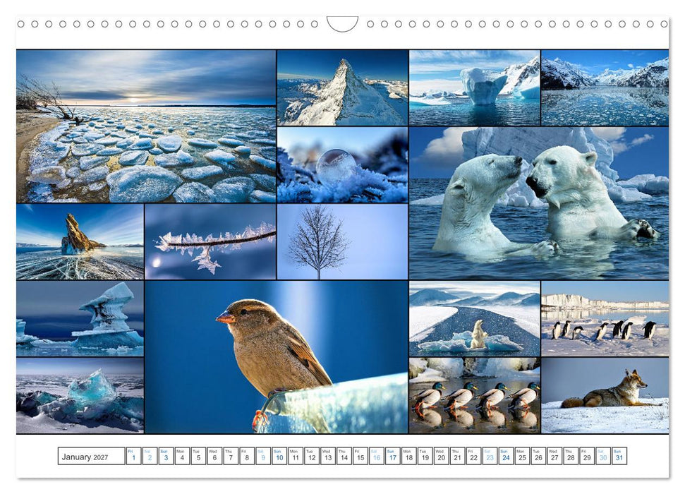 Colour Symphonies of the Earth (CALVENDO Monthly Calendar 2027)