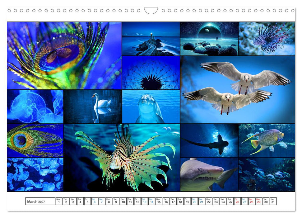 Colour Symphonies of the Earth (CALVENDO Monthly Calendar 2027)