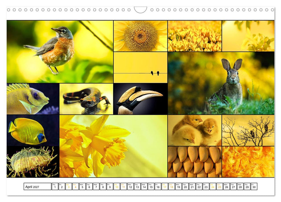 Colour Symphonies of the Earth (CALVENDO Monthly Calendar 2027)