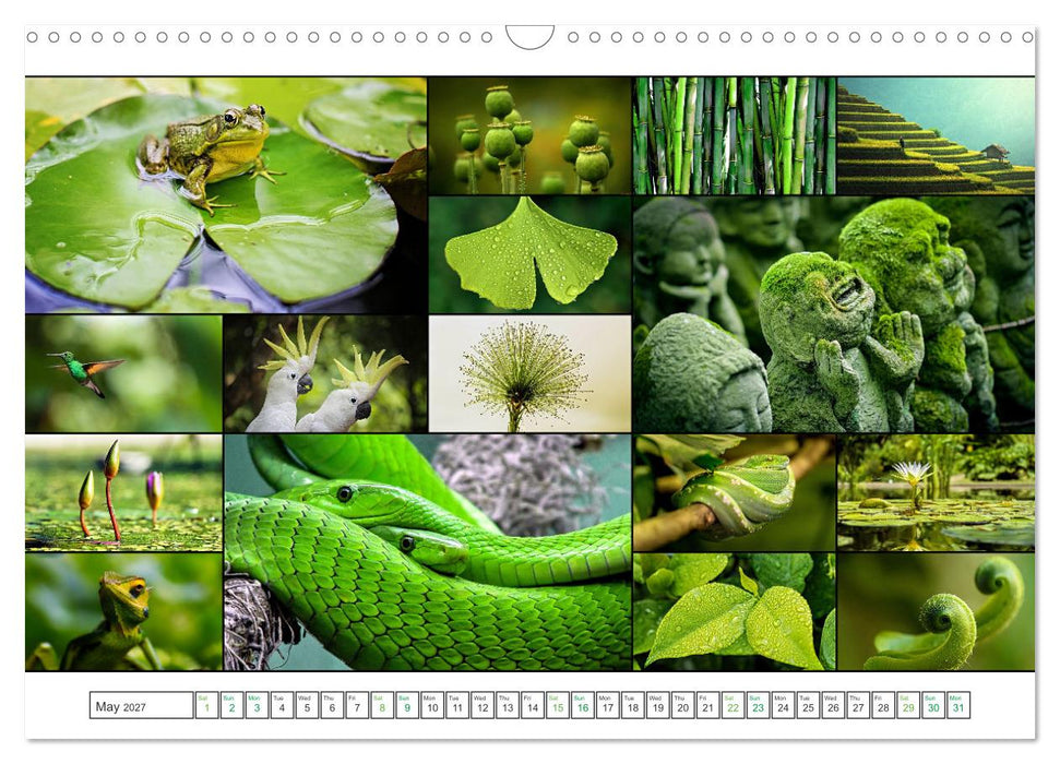 Colour Symphonies of the Earth (CALVENDO Monthly Calendar 2027)