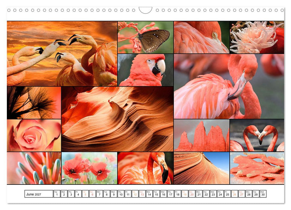 Colour Symphonies of the Earth (CALVENDO Monthly Calendar 2027)
