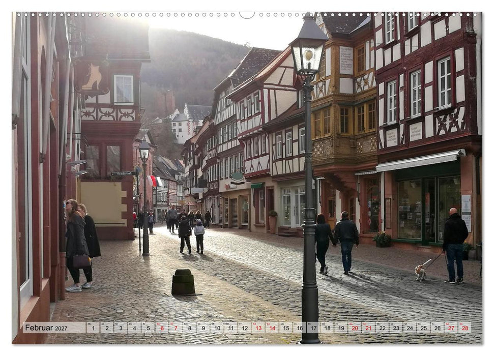 Wanderbares Miltenberg (CALVENDO Wandkalender 2027)
