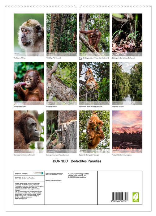 BORNEO Bedrohtes Paradies (CALVENDO Premium Wandkalender 2027)